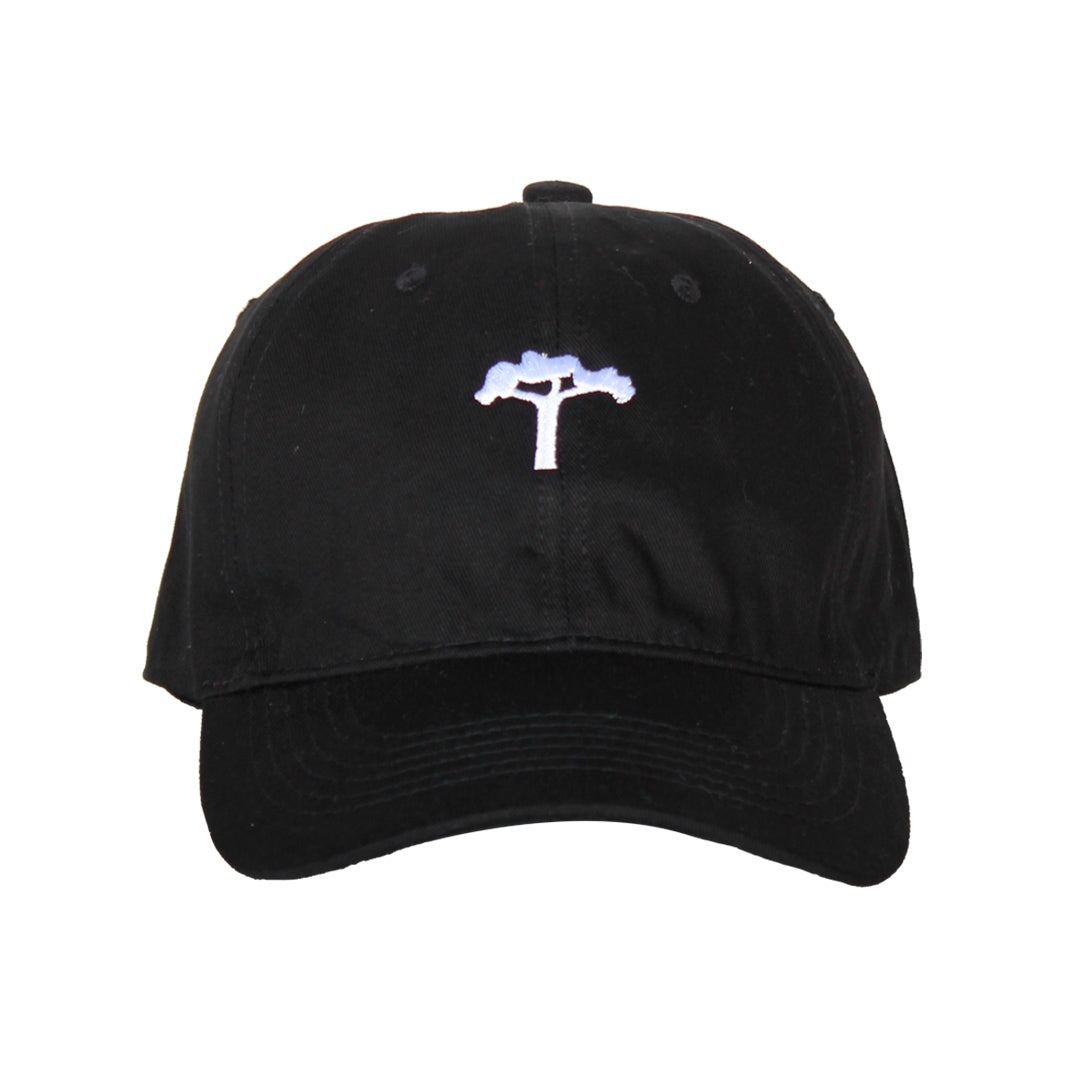 DAD HAT OLD TREE