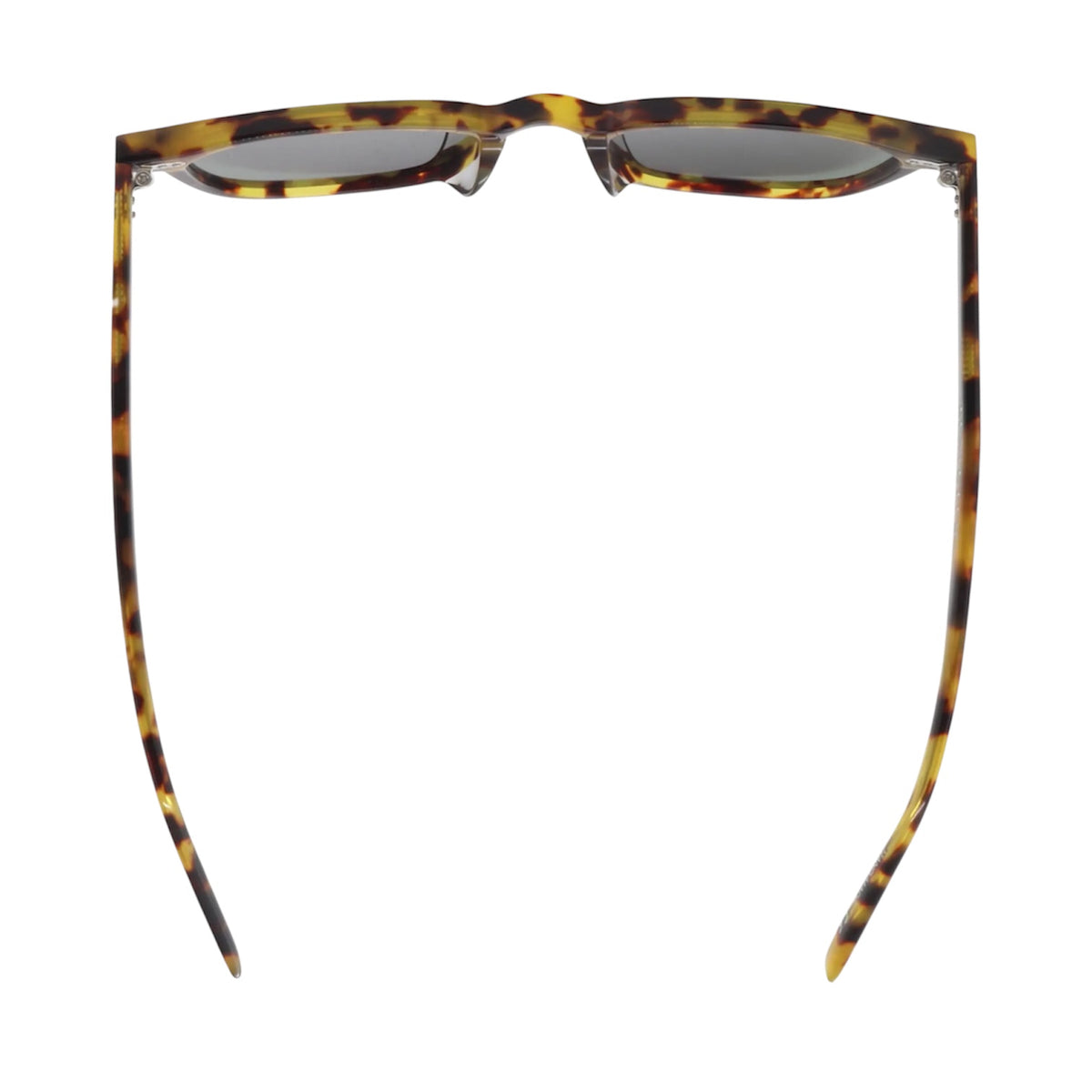 ANTEOJOS BLACKFLYS - FLY SILAS POLARIZED